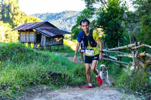 BIB: 2097, 
                            <button type="button" onclick="openModal(19040765)" class="btn btn-primary btn-sm float-right btn-popup" data-toggle="modal" data-target=".modal-high-quality">
                        <i class="fas fa-shopping-cart"></i> Add to Cart
                    </button>
                                            <button type="button" onclick="isThisMe(19040765, true)" class="btn btn-success btn-sm float-right btn-popup btn-isme hidden" data-toggle="tooltip" data-placement="bottom" title="นี่คือรูปของคุณใช่ไหม คลิกที่นี่เพื่อเอาเข้าอัลบั้ม">
                        <i class="fas fa-plus"></i> Add to album
                    </button>
                    <button type="button" onclick="isThisMe(19040765, false)" class="btn btn-warning btn-sm float-right btn-popup btn-isnotme hidden">
                        <i class="fas fa-ban"></i> Remove from album
                    </button>